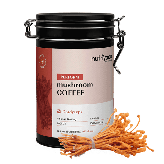 Café Cordyceps – Endurance et énergie longue durée pour sportifs - Nutriyado