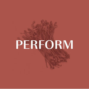 Cacao Cordyceps – Performance et récupération pour sportifs - Nutriyado