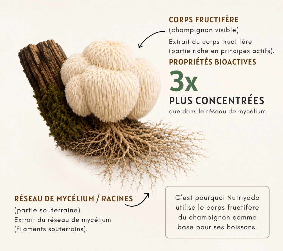 Bannière promotionnelle