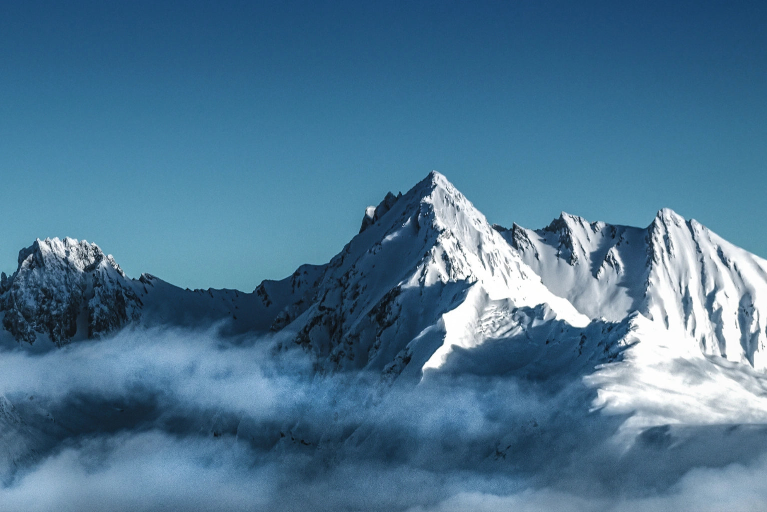 Werbe-Banner